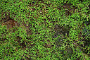 BUITEN BEELD Foto: 449536
