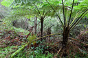BUITEN BEELD Foto: 449545