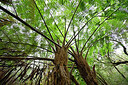 BUITEN BEELD Foto: 449547