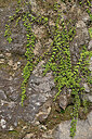BUITEN BEELD Foto: 449552