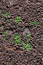 BUITEN BEELD Foto: 449557