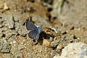 BUITEN BEELD Foto: 449566