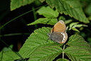 BUITEN BEELD Foto: 449569