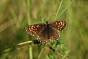 BUITEN BEELD Foto: 449576