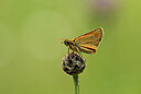 BUITEN BEELD Foto: 449580