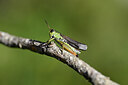 BUITEN BEELD Foto: 449586