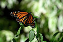 BUITEN BEELD Foto: 449600