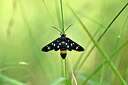 BUITEN BEELD Foto: 449616