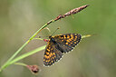BUITEN BEELD Foto: 449624