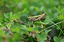 BUITEN BEELD Foto: 449638