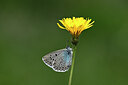 BUITEN BEELD Foto: 449655