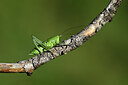 BUITEN BEELD Foto: 449656