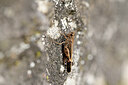 BUITEN BEELD Foto: 449668