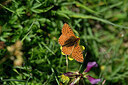 BUITEN BEELD Foto: 449700