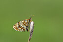 BUITEN BEELD Foto: 449701