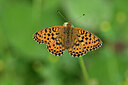 BUITEN BEELD Foto: 449703