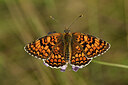 BUITEN BEELD Foto: 449711