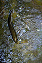 BUITEN BEELD Foto: 449715