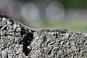 BUITEN BEELD Foto: 449716