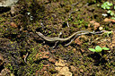 BUITEN BEELD Foto: 449717
