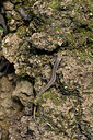 BUITEN BEELD Foto: 449718