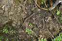 BUITEN BEELD Foto: 449719