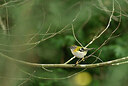 BUITEN BEELD Foto: 449726