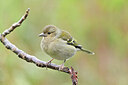 BUITEN BEELD Foto: 449743