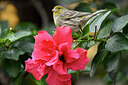 BUITEN BEELD Foto: 449754