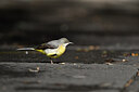 BUITEN BEELD Foto: 449759