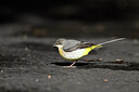 BUITEN BEELD Foto: 449761