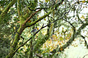 BUITEN BEELD Foto: 449762