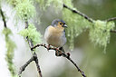 BUITEN BEELD Foto: 449763