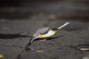 BUITEN BEELD Foto: 449764