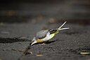 BUITEN BEELD Foto: 449766