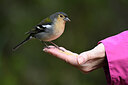 BUITEN BEELD Foto: 449770