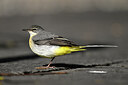 BUITEN BEELD Foto: 449771