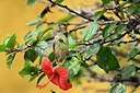 BUITEN BEELD Foto: 449775