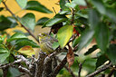 BUITEN BEELD Foto: 449782