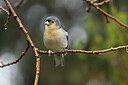 BUITEN BEELD Foto: 449783