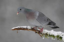 BUITEN BEELD Foto: 449815