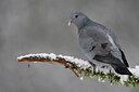 BUITEN BEELD Foto: 449816