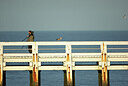 BUITEN BEELD Foto: 449833