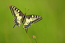 BUITEN BEELD Foto: 449838