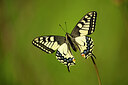 BUITEN BEELD Foto: 449840