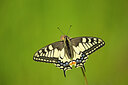 BUITEN BEELD Foto: 449843