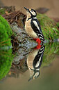 BUITEN BEELD Foto: 449849