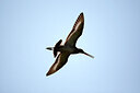 BUITEN BEELD Foto: 449865