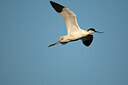 BUITEN BEELD Foto: 449873