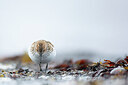 BUITEN BEELD Foto: 449914